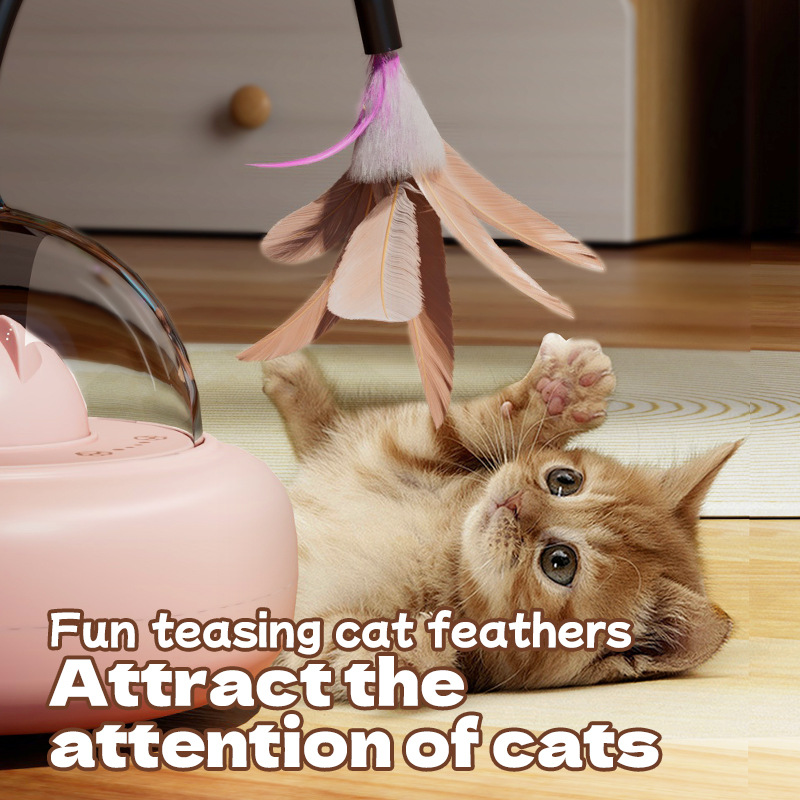 전기 UFO 스마트 티저 고양이 장난감 (벨 포함) 인 - Power Tools Cat 리뷰 및 가격