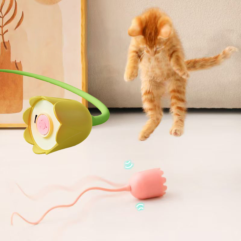인터랙티브 고양이 장난감 USB 전동 지능형 롤링 볼  - Power Tools Cat 리뷰 및 가격