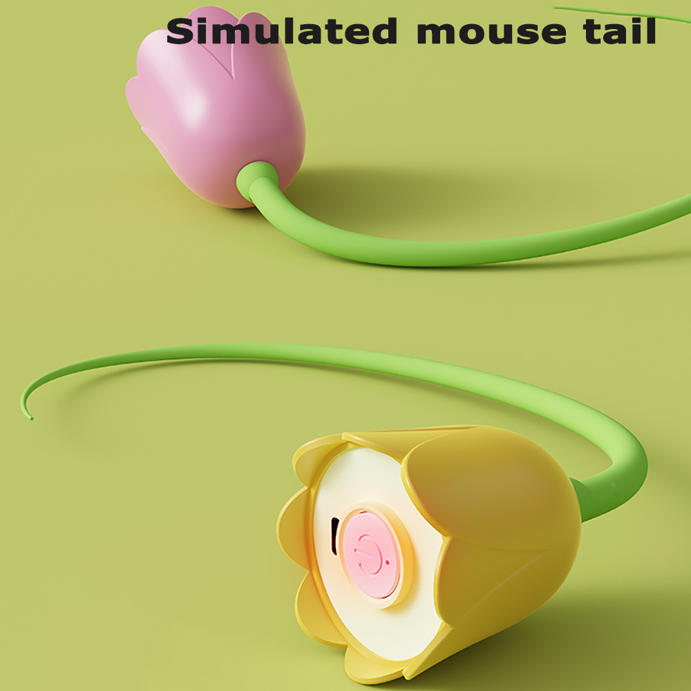 인터랙티브 고양이 장난감 USB 전동 지능형 롤링 볼  - Power Tools Cat 리뷰 및 가격