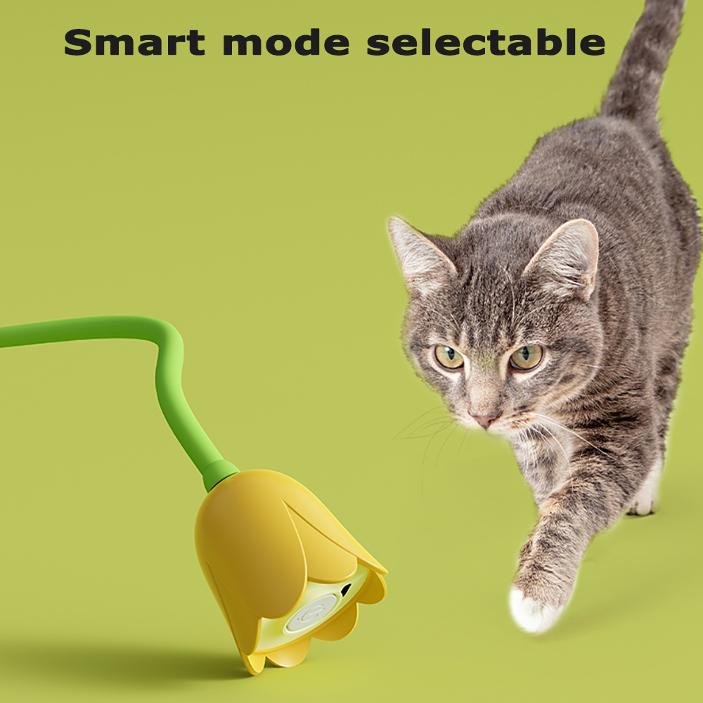 인터랙티브 고양이 장난감 USB 전동 지능형 롤링 볼  - Power Tools Cat 리뷰 및 가격