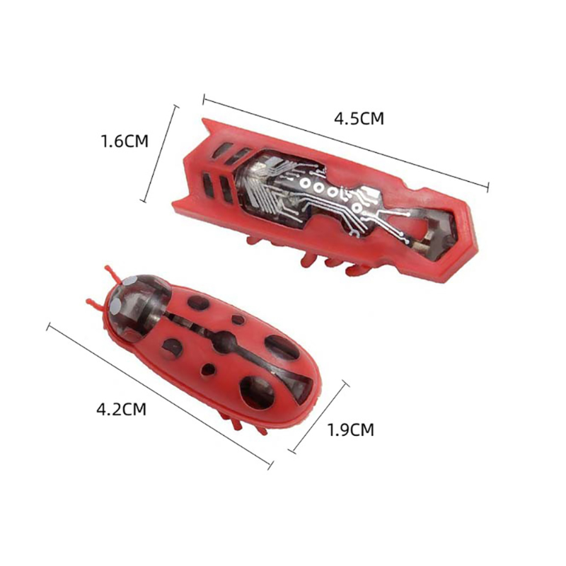 1PC 전기 버그 고양이 장난감 자동 플립 배터리 작동 - Power Tools Cat 리뷰 및 가격