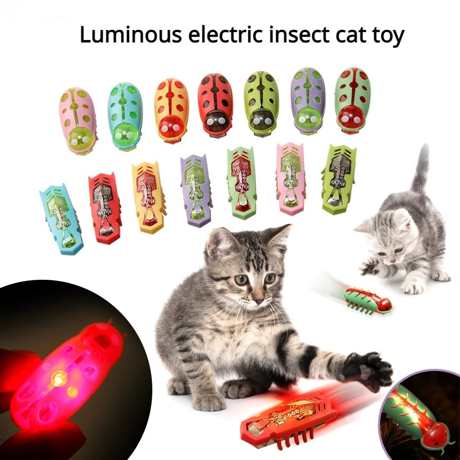 고양이 장난감 라이트업 전동 벌레 애완동물 인터랙티브  - Power Tools Cat 리뷰 및 가격