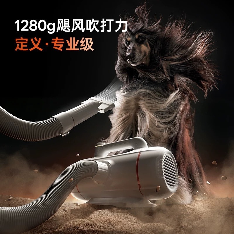 반려동물 목욕용 블로우 드라이어, 듀얼 모터 고출력 헤 - Power Tools Cat 리뷰 및 가격