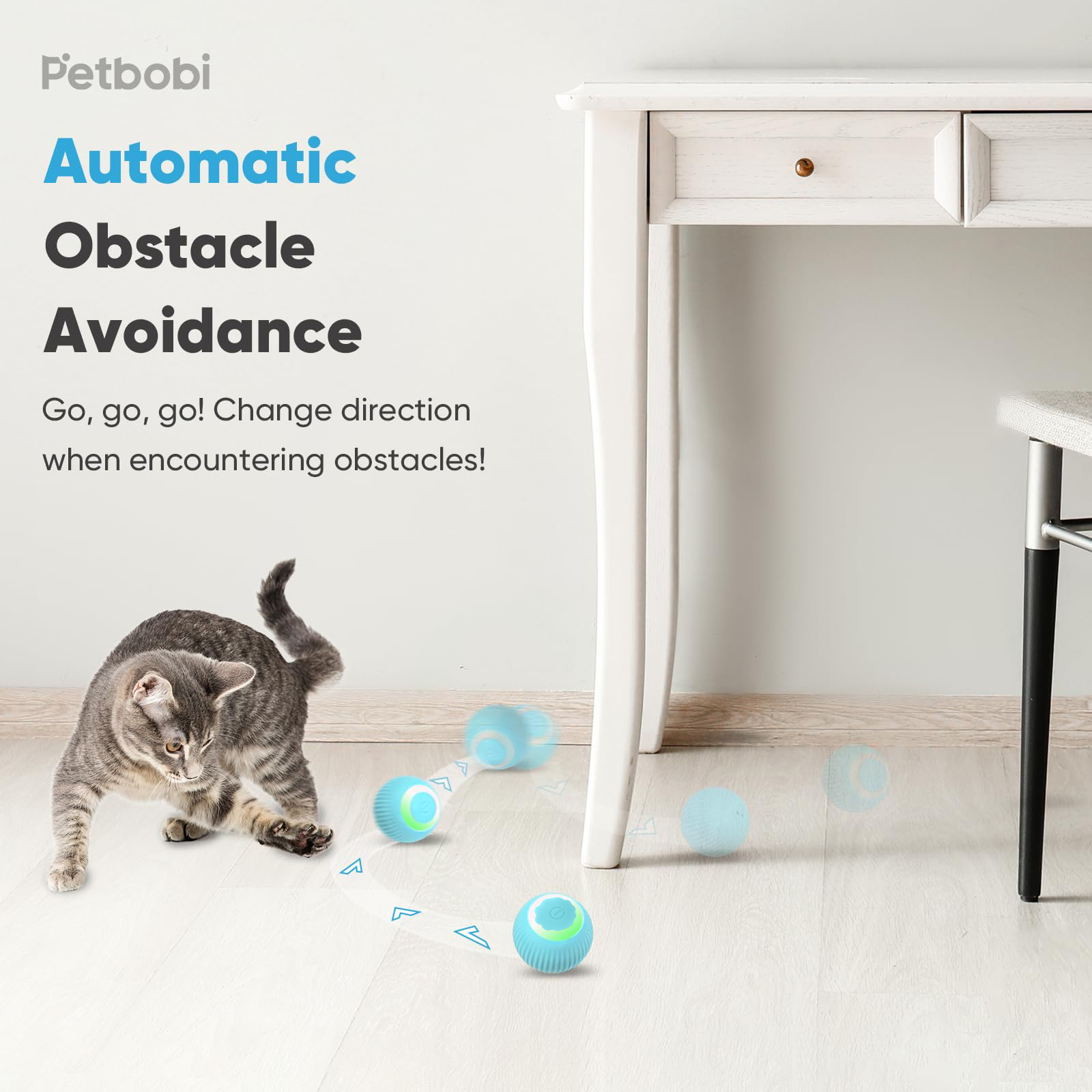 고양이 인터랙티브 볼 트레이닝 자동 이동 새끼 고양이  - Power Tools Cat 리뷰 및 가격