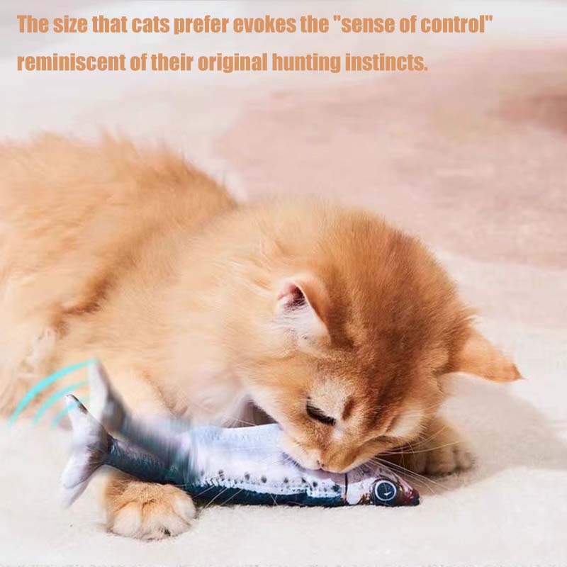 실내용 대화형 고양이 장난감 스마트 자동 고양이 장난감 - Power Tools Cat 리뷰 및 가격